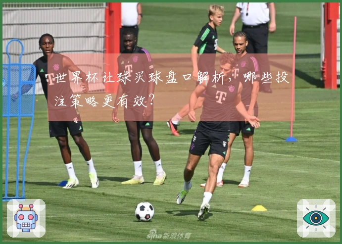 世界杯让球买球盘口解析，哪些投注策略更有效？