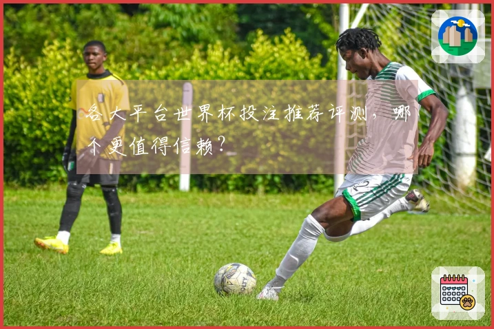 各大平台世界杯投注推荐评测，哪个更值得信赖？