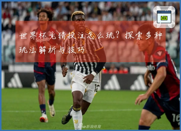 世界杯竞猜投注怎么玩？探索多种玩法解析与技巧