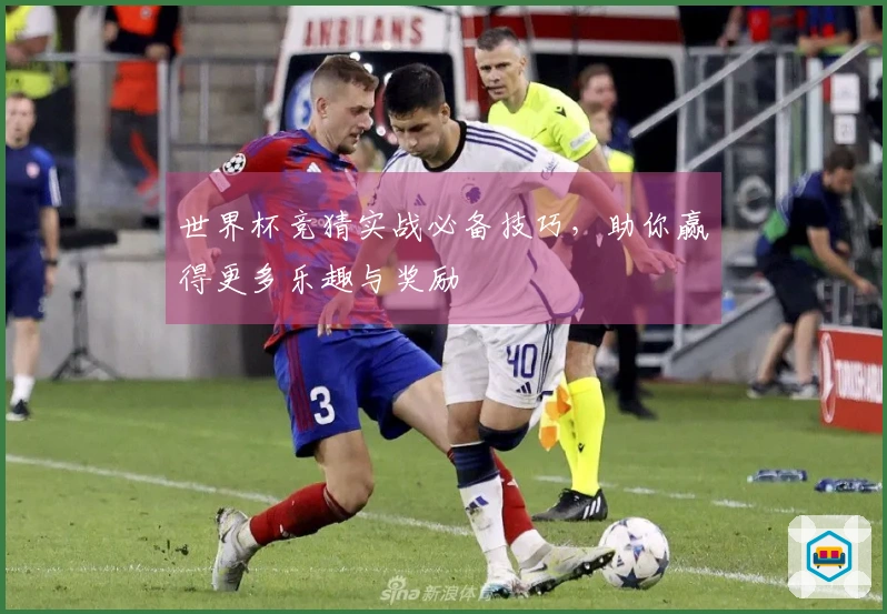 世界杯竞猜实战必备技巧,助你赢得更多乐趣与奖励