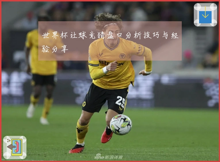 世界杯让球竞猜盘口分析技巧与经验分享
