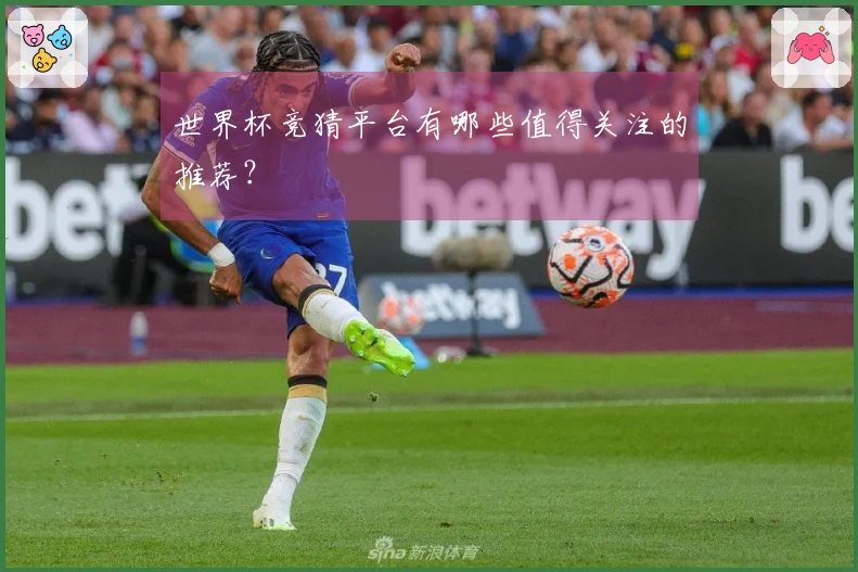 世界杯竞猜平台有哪些值得关注的推荐？