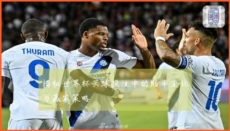 揭秘世界杯买球投注中的赔率变化与赢家策略