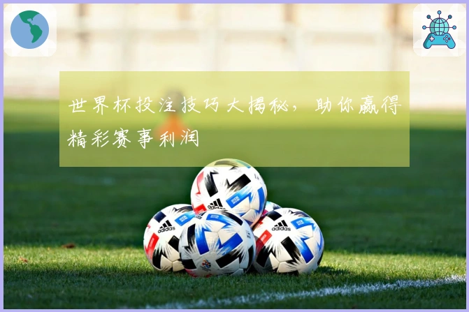 世界杯投注技巧大揭秘，助你赢得精彩赛事利润
