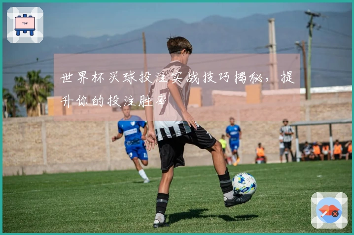 世界杯买球投注实战技巧揭秘，提升你的投注胜率