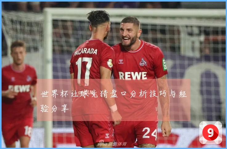 世界杯让球竞猜盘口分析技巧与经验分享