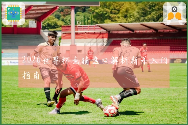 2026世界杯竞猜盘口解析新手入门指南