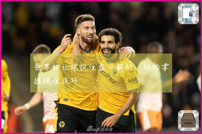 世界杯让球投注盘口解析，轻松掌握投注技巧
