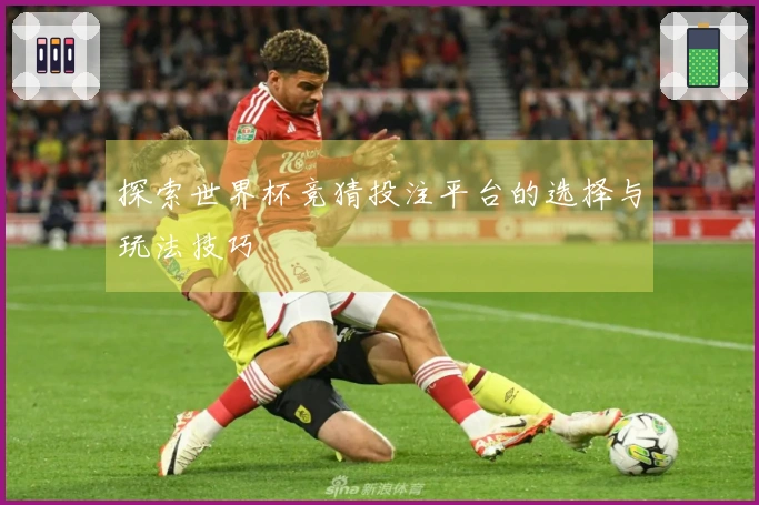 探索世界杯竞猜投注平台的选择与玩法技巧
