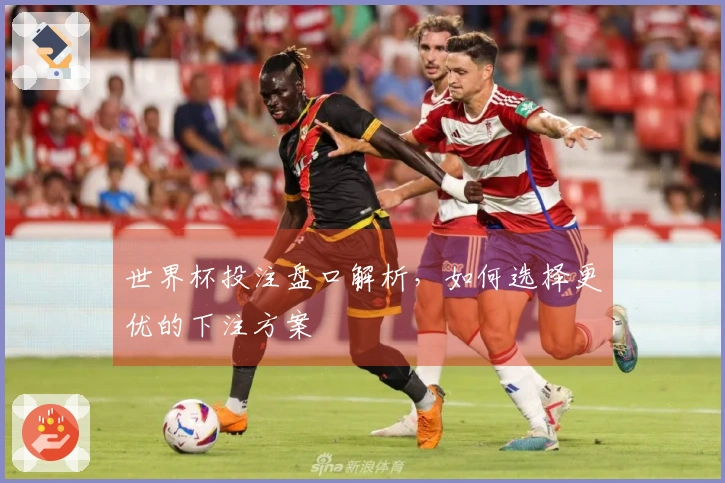世界杯投注盘口解析，如何选择更优的下注方案