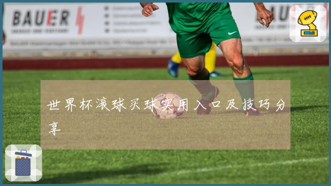 世界杯滚球买球实用入口及技巧分享