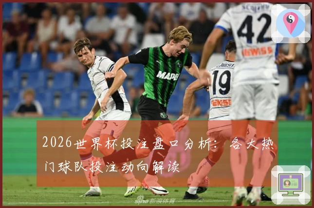 2026世界杯投注盘口分析：各大热门球队投注动向解读