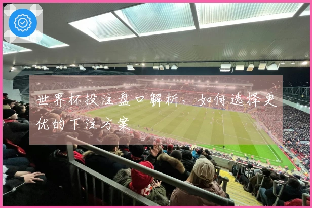 世界杯投注盘口解析，如何选择更优的下注方案