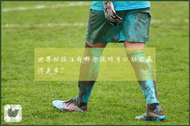 世界杯投注有哪些技巧可以助你赢得更多？