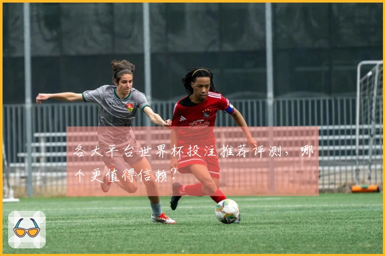 各大平台世界杯投注推荐评测，哪个更值得信赖？