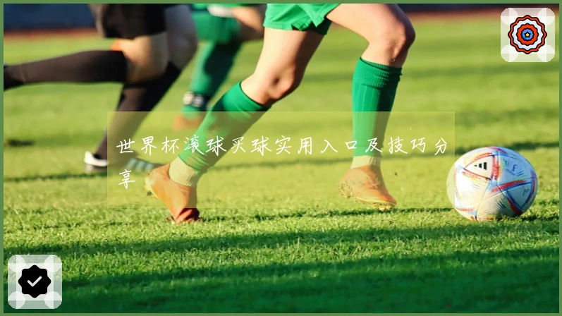 世界杯滚球买球实用入口及技巧分享